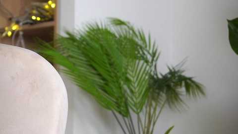 sonya_kelsey free recording from 2025-12-05 12:33:00