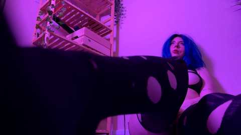 vixenp free recording from 