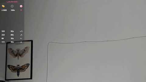 gabimeshuggah free recording from 2025-12-07 00:01:00