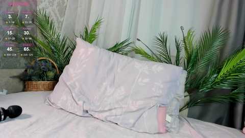 kittyloffe free recording from 