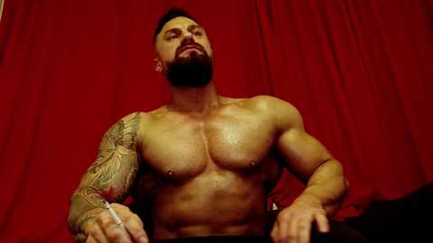 adonis_msc free recording from 