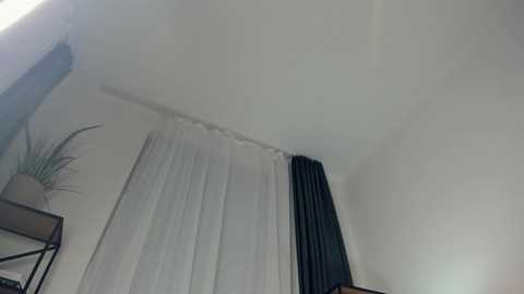 alicemelison free recording from 2025-12-08 00:13:00