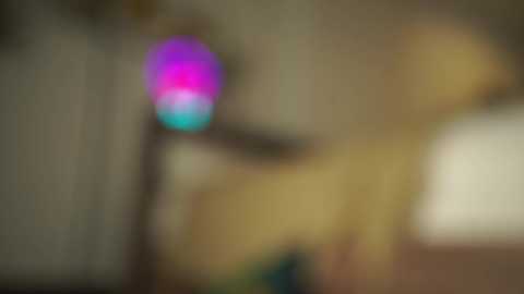 nirvanaa__ free recording from 2025-12-08 00:13:00