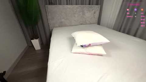 8abycat free recording from 