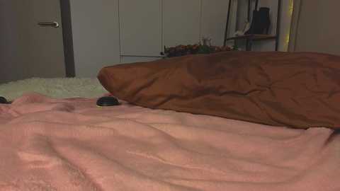 lili__roze_ free recording from 