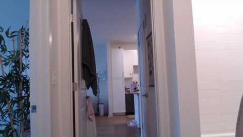 lilyyymonroee free recording from 2025-12-10 00:36:00