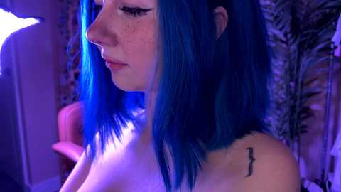 vixenp free recording from 