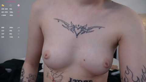 lucykitty_ free recording from 