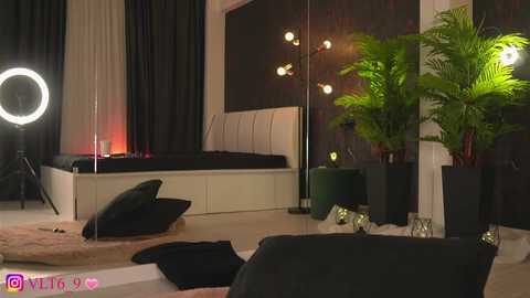 amunajaxson free recording from 2025-12-11 03:32:00