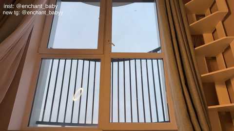 enchant_baby_ free recording from 2025-12-14 00:29:00