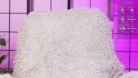 shycinderella free recording from 2025-12-11 15:18:00