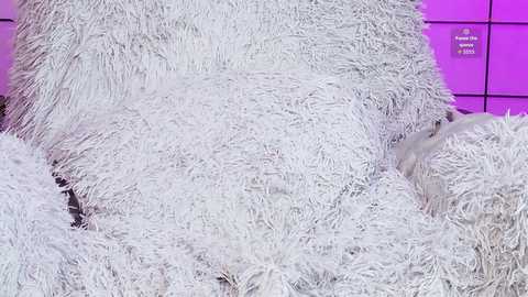 shycinderella free recording from 2025-12-11 18:19:00