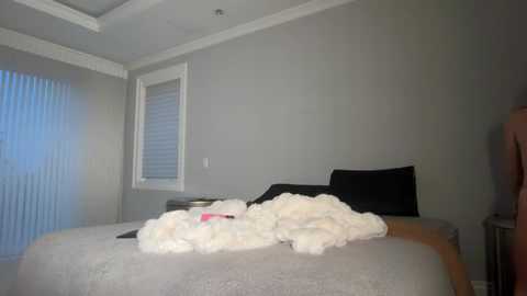 avaowenss free recording from 2025-12-12 00:20:00