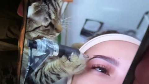 bonnettbonett free recording from 2025-12-12 08:55:00