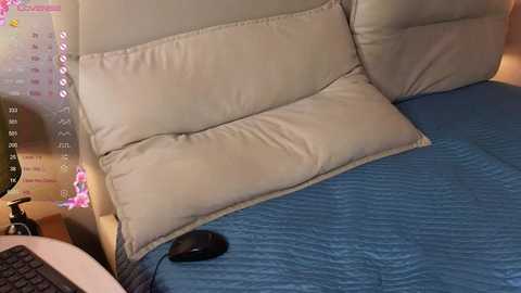 brightrays__ free recording from 2025-12-12 07:45:00