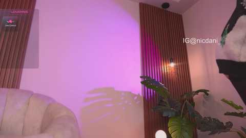 nicdani_1 free recording from 2025-12-12 05:27:00