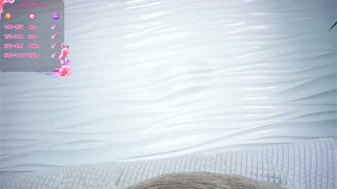 phyllisearney free recording from 2025-12-12 12:34:00