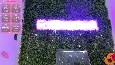 hotfallingdevil free recording from 2025-12-13 10:06:00