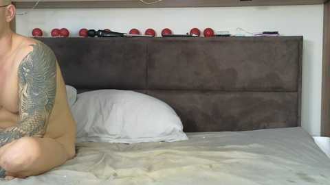 sexbogove36 free recording from 2025-12-13 09:19:00