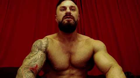 adonis_msc free recording from 