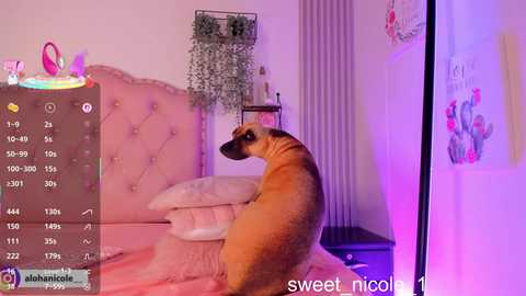 sweet_nicole_1 free recording from 2025-12-14 10:59:00