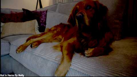 x_lily_x free recording from 