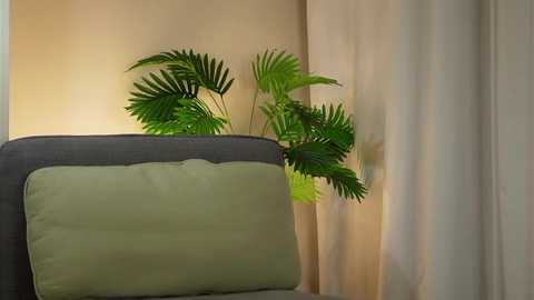 akumadadrive free recording from 