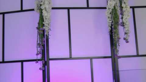 xenomy free recording from 2025-12-16 10:35:00