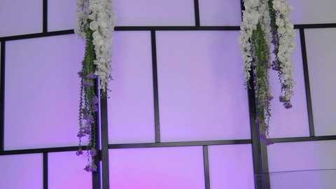 xenomy free recording from 2025-12-16 12:40:00