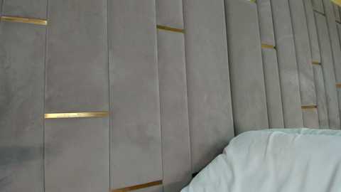 evalims free recording from 2025-12-17 17:37:00