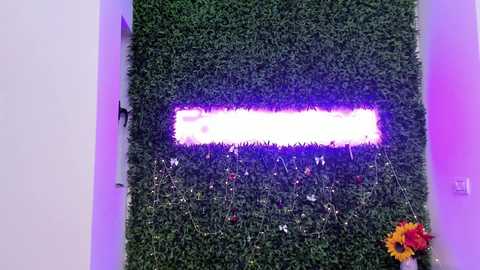 hotfallingdevil free recording from 2025-12-17 09:53:00