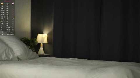 sheenadu free recording from 2025-12-17 11:41:00