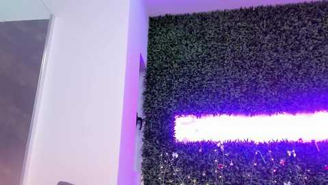 hotfallingdevil free recording from 2025-12-18 10:09:00