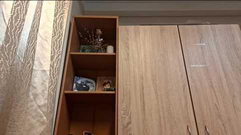 lonniegoldrup free recording from 2025-12-18 22:19:00