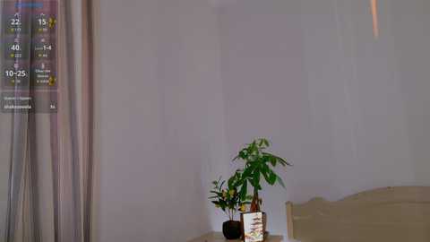 pusichka_ free recording from 2025-12-18 13:40:00