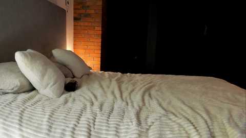 rachel_rey free recording from 2025-12-18 21:43:00