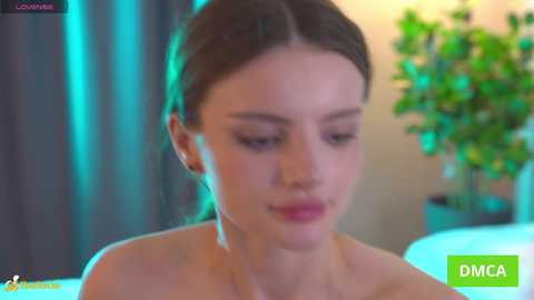 bellacle free recording from 2025-12-19 14:54:00