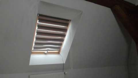 adventurina free recording from 2025-12-20 14:03:00