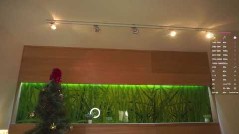 fionawhynot free recording from 