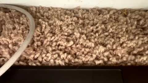 jasonvangrondelle1 free recording from 2025-12-20 20:05:00