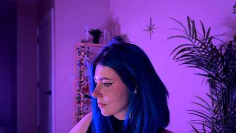 vixenp free recording from 