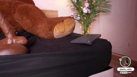 bella__donne free recording from 