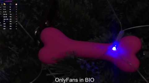 taitehambelton free recording from 2025-12-21 07:51:00