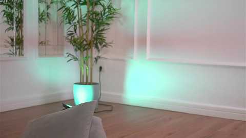 alexxiskye free recording from 2025-12-22 09:44:00