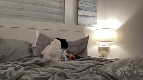 alliefrost free recording from 