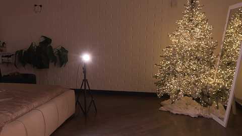 alissa_wxw free recording from 