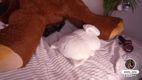 bella__donne free recording from 2025-12-23 19:19:00