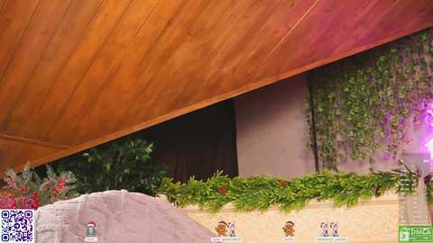 lissa_meooow free recording from 