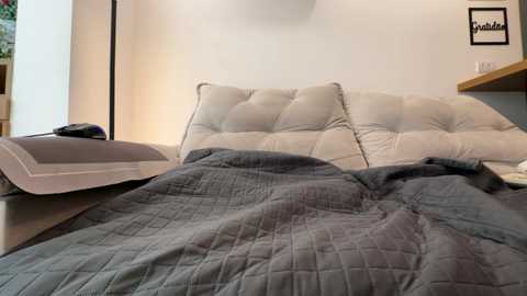 mettew22cm free recording from 