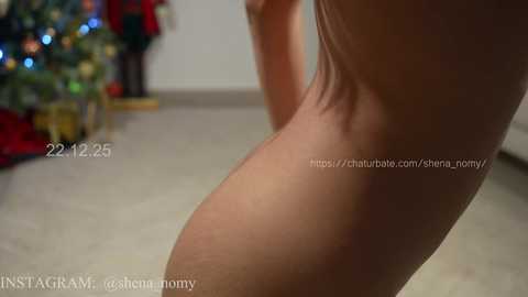 shena_nomy free recording from 2025-12-23 02:13:00